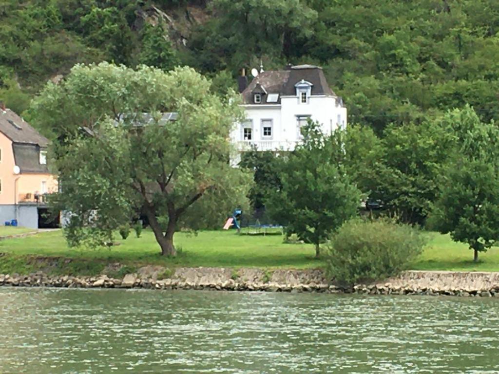 Paradiesisch Wohnen - Loreley Sankt Goarshausen Bagian luar foto