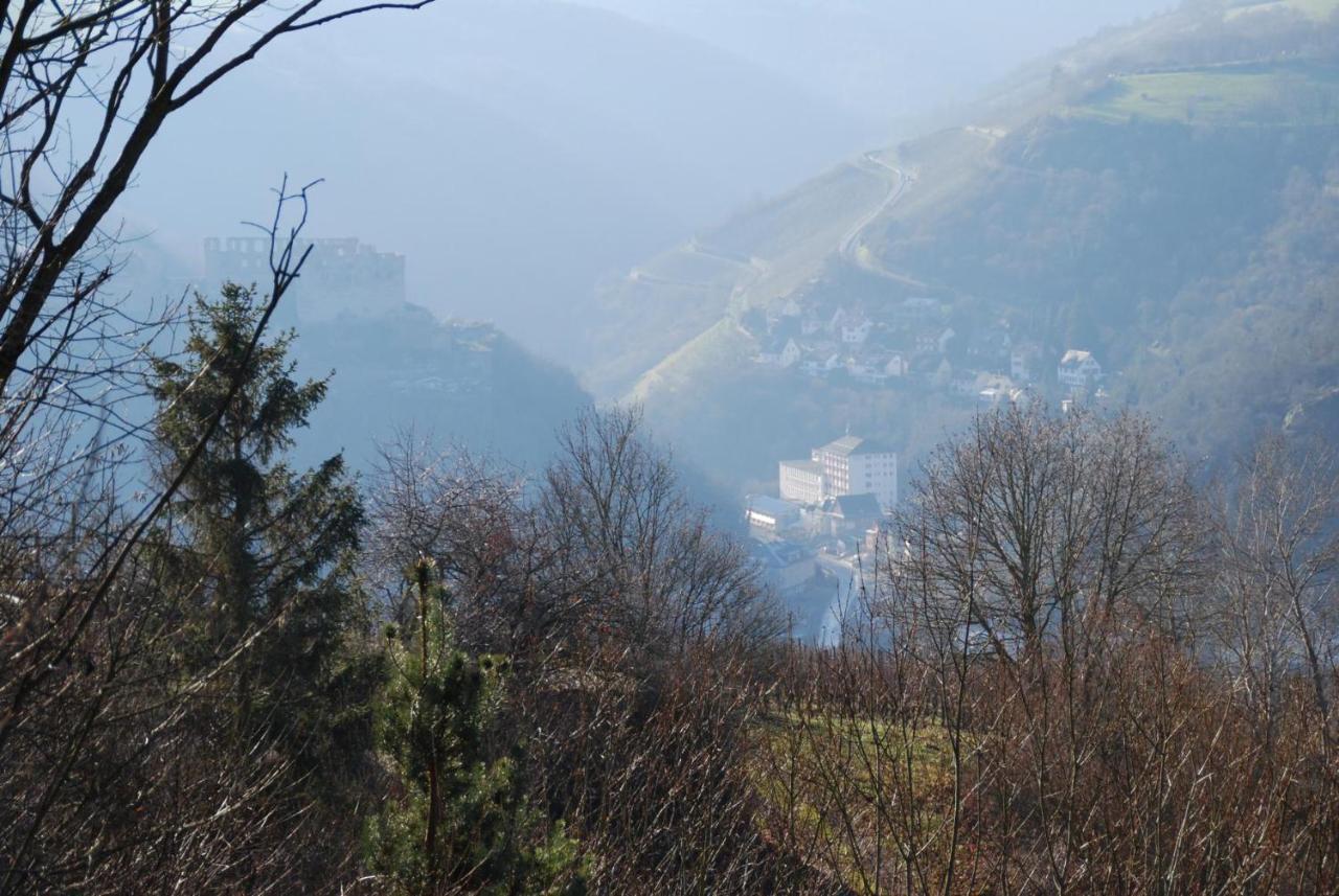 Paradiesisch Wohnen - Loreley Sankt Goarshausen Bagian luar foto
