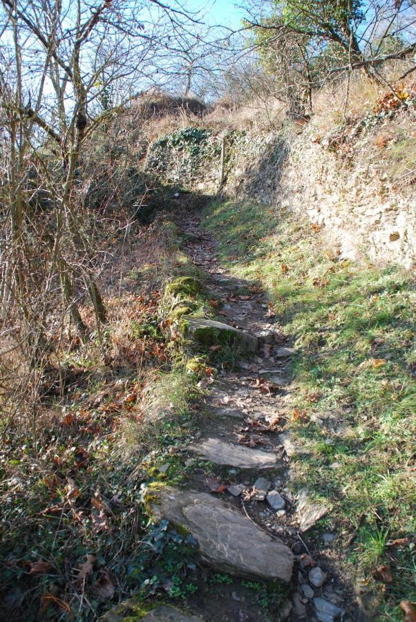 Paradiesisch Wohnen - Loreley Sankt Goarshausen Bagian luar foto